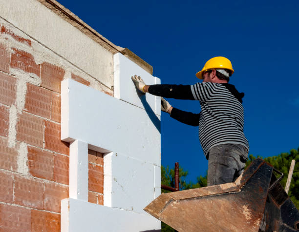 Best Specialized Insulation Services in Dana, NC