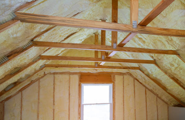 Best Blown-in Insulation in Dana, NC