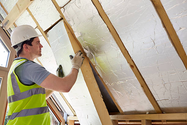 Best Insulation Maintenance and Repair in Dana, NC