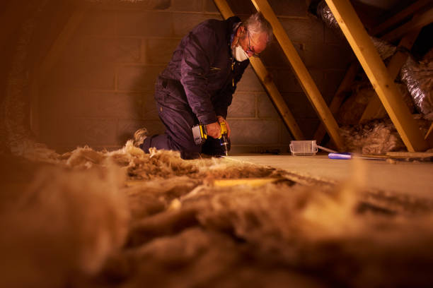 Best Spray Foam Insulation in Dana, NC